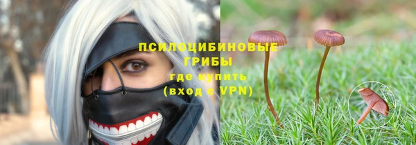 а пвп мука Горняк