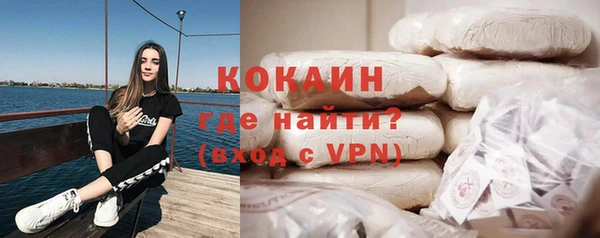 ПСИЛОЦИБИНОВЫЕ ГРИБЫ Горно-Алтайск