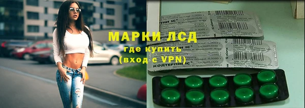 ПСИЛОЦИБИНОВЫЕ ГРИБЫ Горно-Алтайск