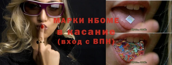 ПСИЛОЦИБИНОВЫЕ ГРИБЫ Горно-Алтайск