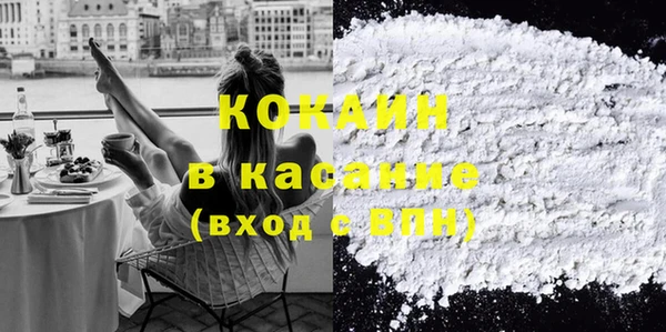 ПСИЛОЦИБИНОВЫЕ ГРИБЫ Горно-Алтайск