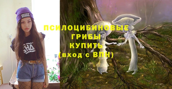 герыч Горнозаводск