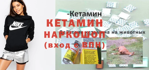 ПСИЛОЦИБИНОВЫЕ ГРИБЫ Горно-Алтайск