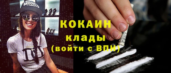 ПСИЛОЦИБИНОВЫЕ ГРИБЫ Горно-Алтайск