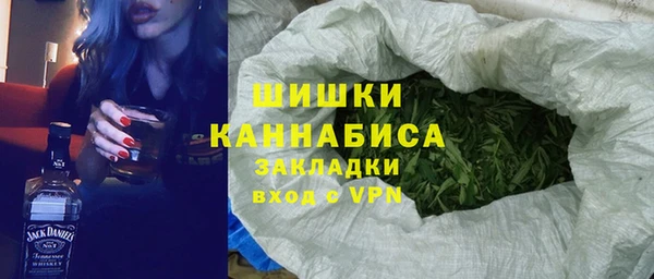 ПСИЛОЦИБИНОВЫЕ ГРИБЫ Горно-Алтайск