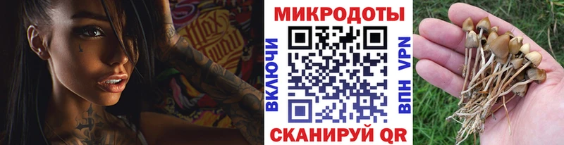 Псилоцибиновые грибы ЛСД  хочу   Ува 